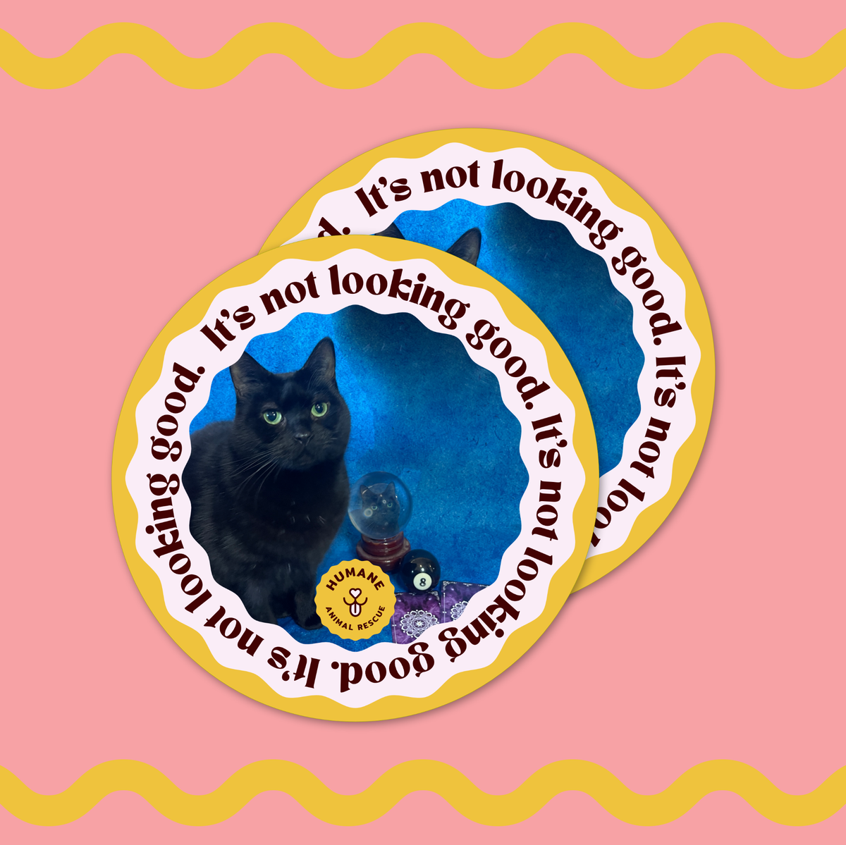 It's Not Looking Good Sticker
